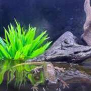 ヒメ日記 2025/06/07 21:28 投稿 ゆうき ソープランド AQUA（アクア）