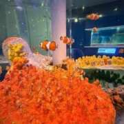 ヒメ日記 2025/06/13 23:55 投稿 ゆうき ソープランド AQUA（アクア）