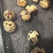 ヒメ日記 2025/06/24 21:53 投稿 ゆうき ソープランド AQUA（アクア）