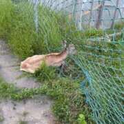 ヒメ日記 2025/06/29 23:15 投稿 ゆうき ソープランド AQUA（アクア）