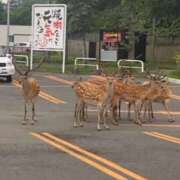 ヒメ日記 2025/07/10 16:18 投稿 ゆうき ソープランド AQUA（アクア）