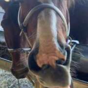 ヒメ日記 2025/07/12 14:15 投稿 ゆうき ソープランド AQUA（アクア）