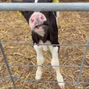 ヒメ日記 2025/07/12 14:48 投稿 ゆうき ソープランド AQUA（アクア）