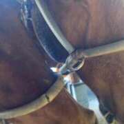 ヒメ日記 2025/07/12 18:38 投稿 ゆうき ソープランド AQUA（アクア）