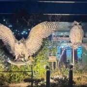 ヒメ日記 2025/07/14 23:01 投稿 ゆうき ソープランド AQUA（アクア）