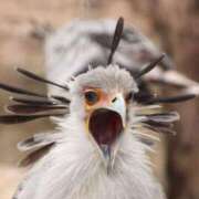 ヒメ日記 2025/07/27 17:22 投稿 ゆうき ソープランド AQUA（アクア）