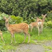 ヒメ日記 2025/08/16 15:50 投稿 ゆうき ソープランド AQUA（アクア）