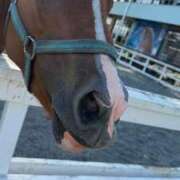 ヒメ日記 2025/08/21 22:18 投稿 ゆうき ソープランド AQUA（アクア）