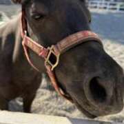 ヒメ日記 2025/08/22 23:09 投稿 ゆうき ソープランド AQUA（アクア）