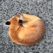 ヒメ日記 2025/08/24 00:01 投稿 ゆうき ソープランド AQUA（アクア）