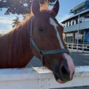 ヒメ日記 2025/08/28 23:49 投稿 ゆうき ソープランド AQUA（アクア）