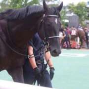 ヒメ日記 2025/08/29 22:18 投稿 ゆうき ソープランド AQUA（アクア）