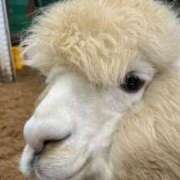 ヒメ日記 2025/08/30 23:00 投稿 ゆうき ソープランド AQUA（アクア）