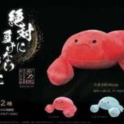 ヒメ日記 2025/08/31 23:08 投稿 ゆうき ソープランド AQUA（アクア）