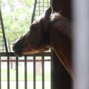 ヒメ日記 2025/09/01 23:33 投稿 ゆうき ソープランド AQUA（アクア）