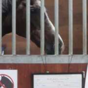 ヒメ日記 2025/09/02 23:48 投稿 ゆうき ソープランド AQUA（アクア）