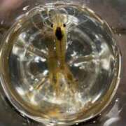 ヒメ日記 2025/09/04 22:58 投稿 ゆうき ソープランド AQUA（アクア）