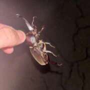 ヒメ日記 2025/09/12 21:52 投稿 ゆうき ソープランド AQUA（アクア）