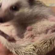 ヒメ日記 2025/09/15 21:58 投稿 ゆうき ソープランド AQUA（アクア）