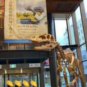 ヒメ日記 2025/09/16 22:39 投稿 ゆうき ソープランド AQUA（アクア）