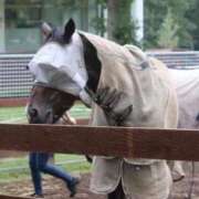 ヒメ日記 2025/09/16 23:20 投稿 ゆうき ソープランド AQUA（アクア）