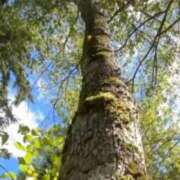 ヒメ日記 2025/09/18 23:44 投稿 ゆうき ソープランド AQUA（アクア）