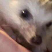 ヒメ日記 2025/09/19 00:03 投稿 ゆうき ソープランド AQUA（アクア）