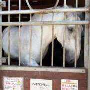 ヒメ日記 2025/09/22 20:49 投稿 ゆうき ソープランド AQUA（アクア）