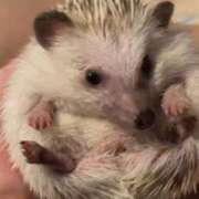 ヒメ日記 2025/09/23 22:07 投稿 ゆうき ソープランド AQUA（アクア）