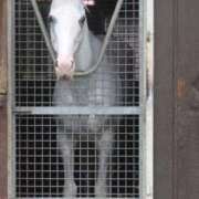 ヒメ日記 2025/09/23 22:19 投稿 ゆうき ソープランド AQUA（アクア）