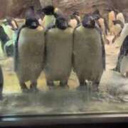 ヒメ日記 2025/09/26 23:19 投稿 ゆうき ソープランド AQUA（アクア）