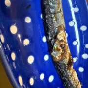 ヒメ日記 2025/09/27 22:18 投稿 ゆうき ソープランド AQUA（アクア）