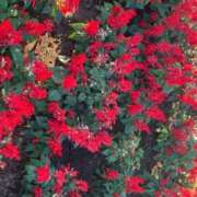 ヒメ日記 2025/09/28 22:19 投稿 ゆうき ソープランド AQUA（アクア）