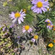 ヒメ日記 2025/09/29 23:08 投稿 ゆうき ソープランド AQUA（アクア）