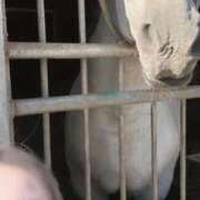 ヒメ日記 2025/10/01 21:41 投稿 ゆうき ソープランド AQUA（アクア）