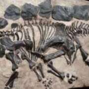 ヒメ日記 2025/10/02 22:58 投稿 ゆうき ソープランド AQUA（アクア）