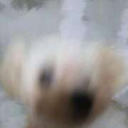 ヒメ日記 2025/10/06 00:02 投稿 ゆうき ソープランド AQUA（アクア）