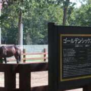 ヒメ日記 2025/10/08 17:35 投稿 ゆうき ソープランド AQUA（アクア）