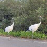 ヒメ日記 2025/10/10 17:48 投稿 ゆうき ソープランド AQUA（アクア）