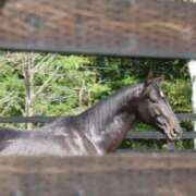 ヒメ日記 2025/10/10 22:09 投稿 ゆうき ソープランド AQUA（アクア）