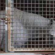 ヒメ日記 2025/10/15 12:09 投稿 ゆうき ソープランド AQUA（アクア）