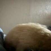 ヒメ日記 2025/10/19 00:18 投稿 ゆうき ソープランド AQUA（アクア）