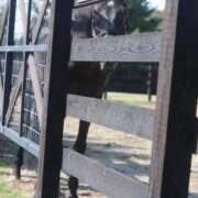 ヒメ日記 2025/10/20 23:39 投稿 ゆうき ソープランド AQUA（アクア）