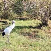 ヒメ日記 2025/10/22 00:04 投稿 ゆうき ソープランド AQUA（アクア）