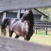 ヒメ日記 2025/10/22 23:38 投稿 ゆうき ソープランド AQUA（アクア）