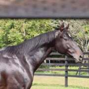 ヒメ日記 2025/10/28 22:28 投稿 ゆうき ソープランド AQUA（アクア）