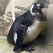 ヒメ日記 2025/10/29 22:42 投稿 ゆうき ソープランド AQUA（アクア）