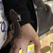 ヒメ日記 2025/10/31 00:08 投稿 ゆうき ソープランド AQUA（アクア）