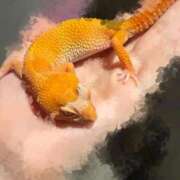 ヒメ日記 2025/11/01 17:11 投稿 ゆうき ソープランド AQUA（アクア）