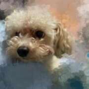 ヒメ日記 2025/11/01 23:38 投稿 ゆうき ソープランド AQUA（アクア）